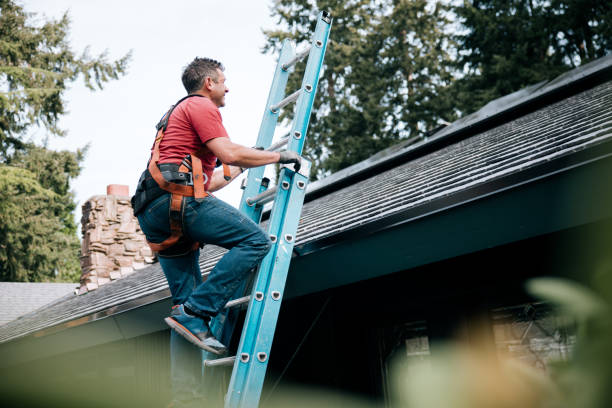 Best Roof Moss and Algae Removal  in Baileys Crossroads, VA